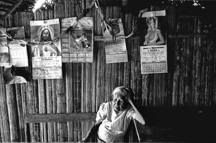 Peruvian Amazon